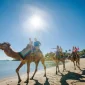 Australia's Seasons