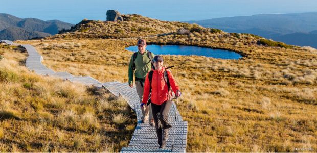 Hump-Ridge-Track-Fiordland