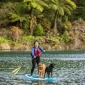 Discover Lake Rotorua Blog Image 85x85