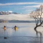 Lake Wanaka - New Zealand (Top Things to Do at Lake Wanaka: Adventure, Relaxation, and Natural Wonders)