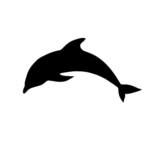 nz hector dolphin's