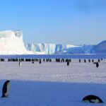 Antarctic Center