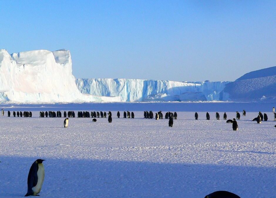 Antarctic Center