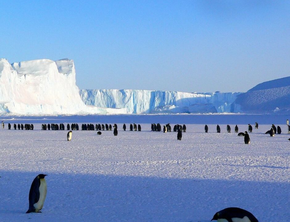 Antarctic Center