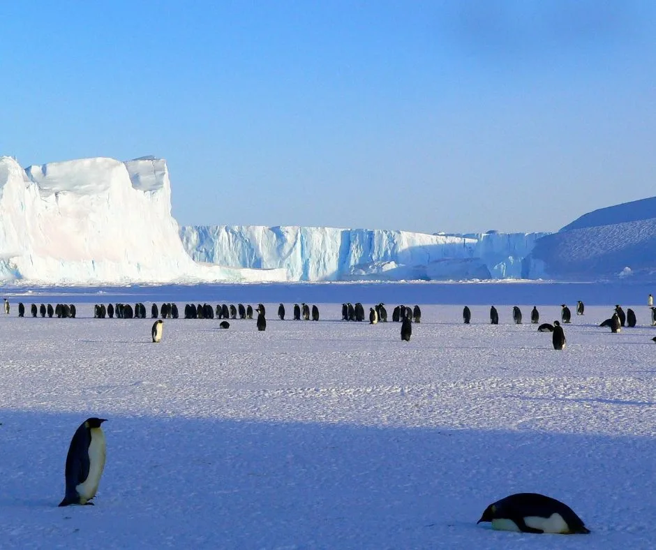International Antarctic Centre