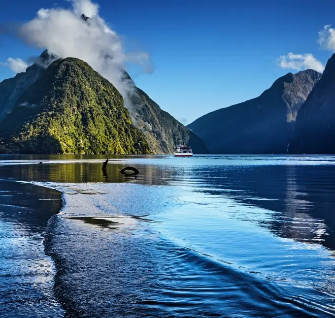 Milford Sound Cruise New Zealand