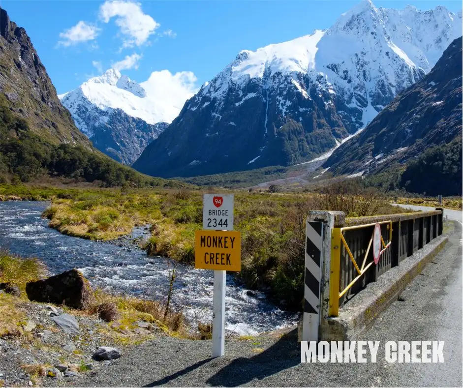 Monkey Creek
